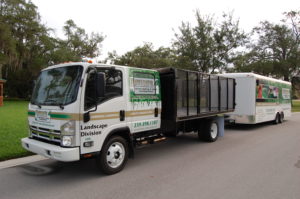 Start The New Year Fresh