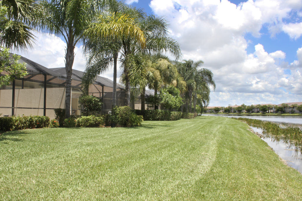 healthy fresh cut lawn