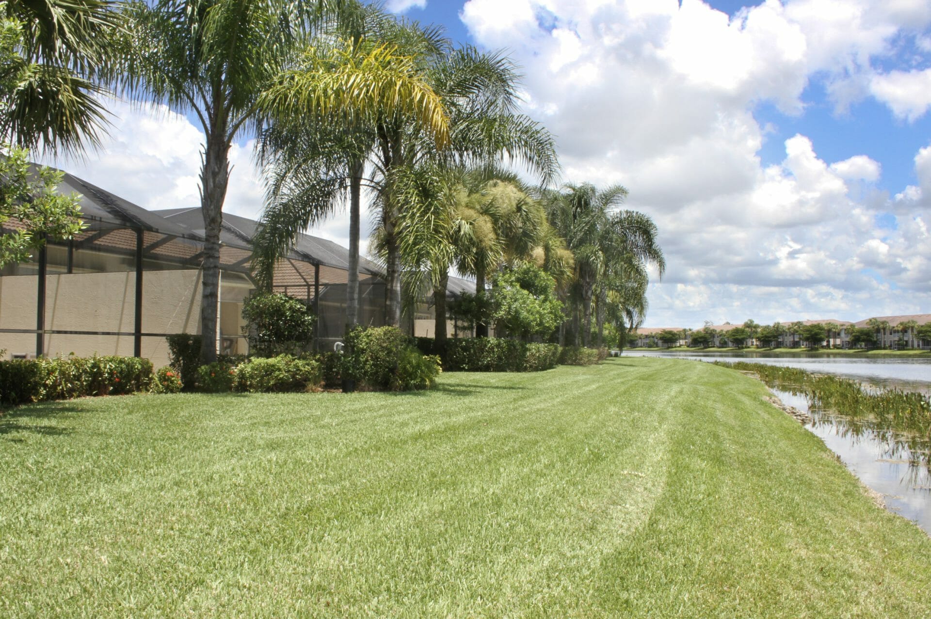 healthy fresh cut lawn
