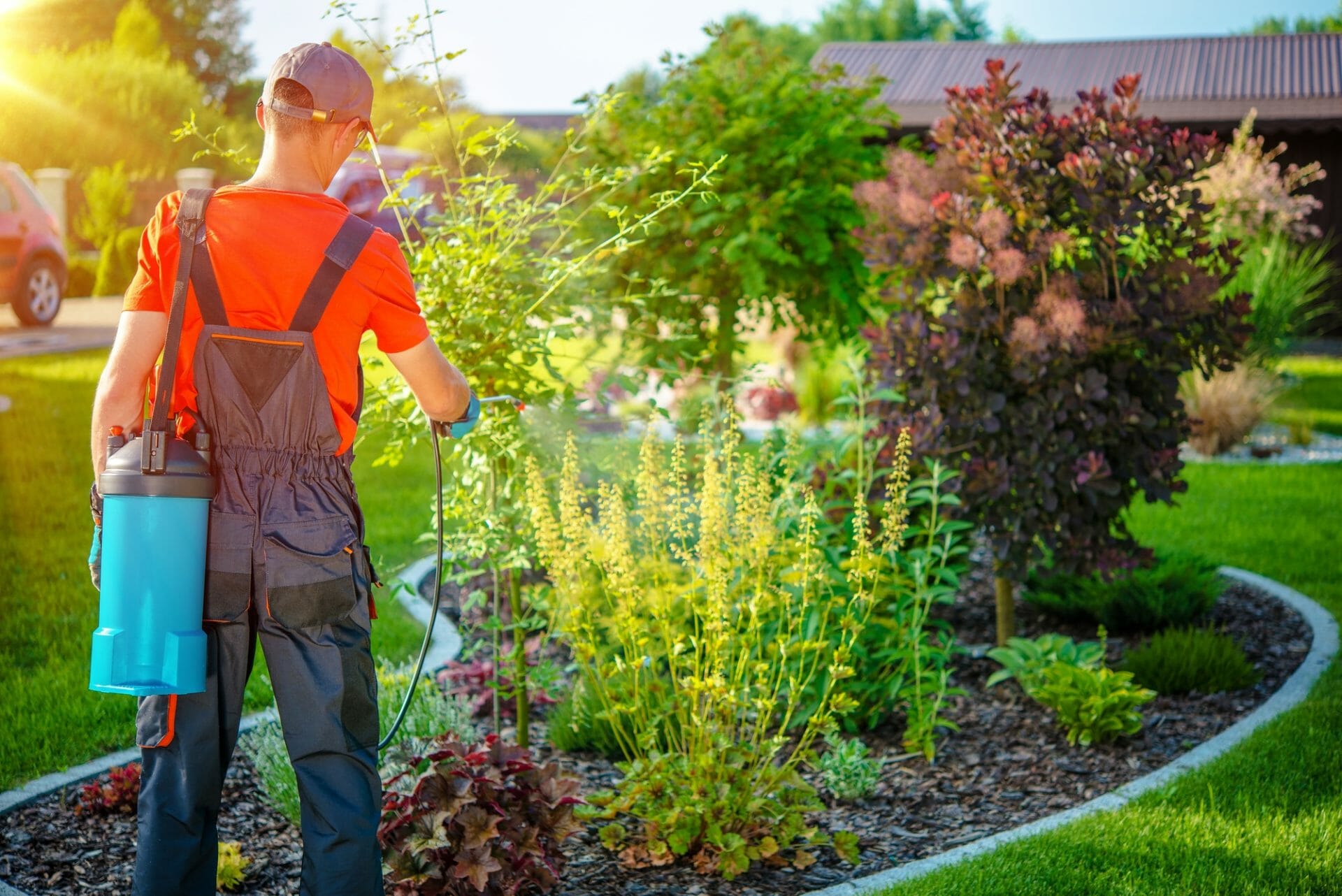 Guy doing Landscape Maintenance