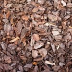 bark mulch