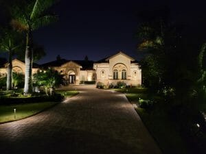 Illuminate The Night