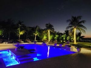 Illuminate The Night