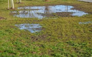 The Crucial Role of Proper Drainage in Landscape Management