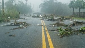 Hurricane Preparedness: Essential Strategies for Commercial and HOA Landscapes