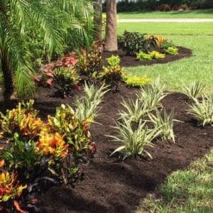 Tips for Maintaining Healthy Soil on Commercial Properties